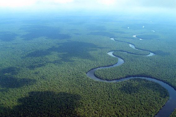 Congo20112-058-lower-res.forest.river.568
